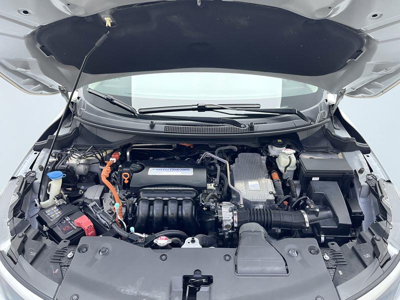 Honda Enjoying the Domain 2021