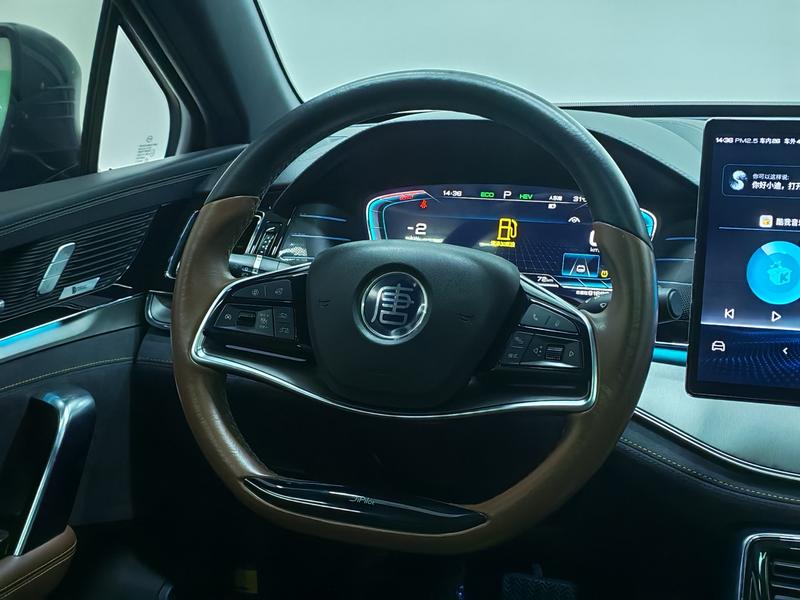 BYD Tang DM 2021