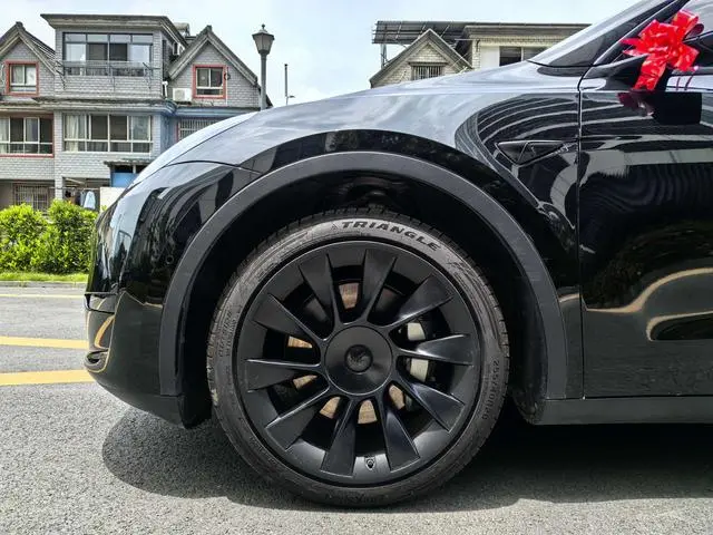 Tesla Model Y Rear-wheel drive version