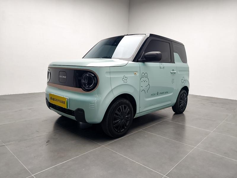 Geely Galaxy panda 2024