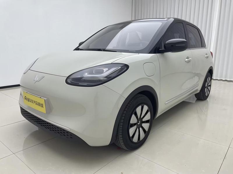 Wuling Wuling Binguo 2023