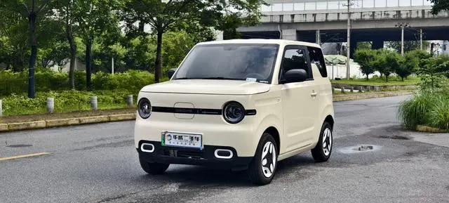 Geely Galaxy panda 210km panda mini vitality bear