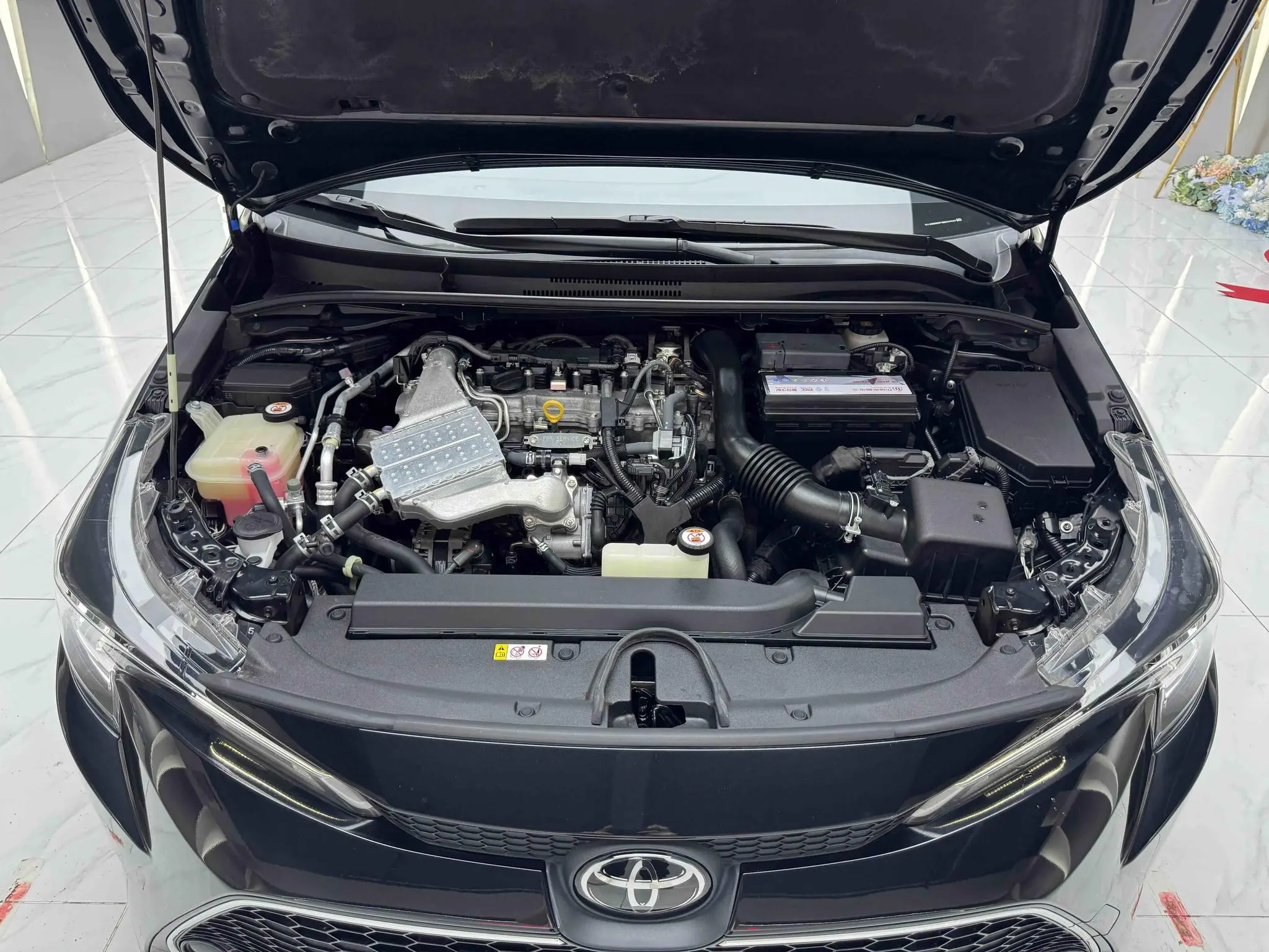 TOYOTA Lei Ling 185T CVT Deluxe Edition