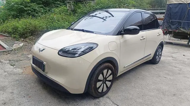 Wuling Wuling Bingguo 333KM consonant interconnection model