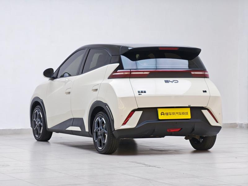 BYD seagull 2025