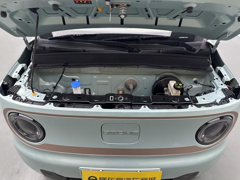 Geely Galaxy panda 2023
