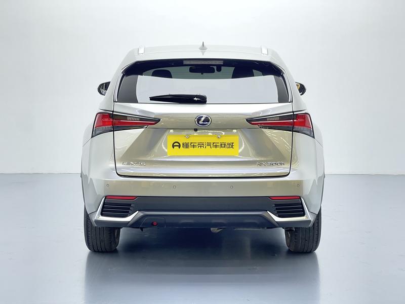 Lexus Lexus NX 2020