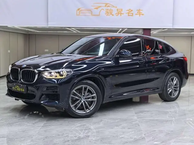 BMW BMW X4 xDrive25i M sports suit