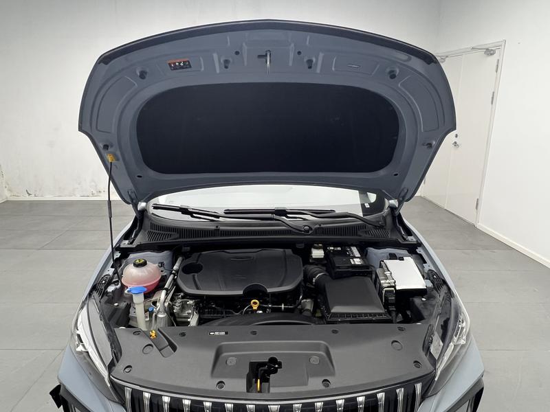 Geely Binrui 2024