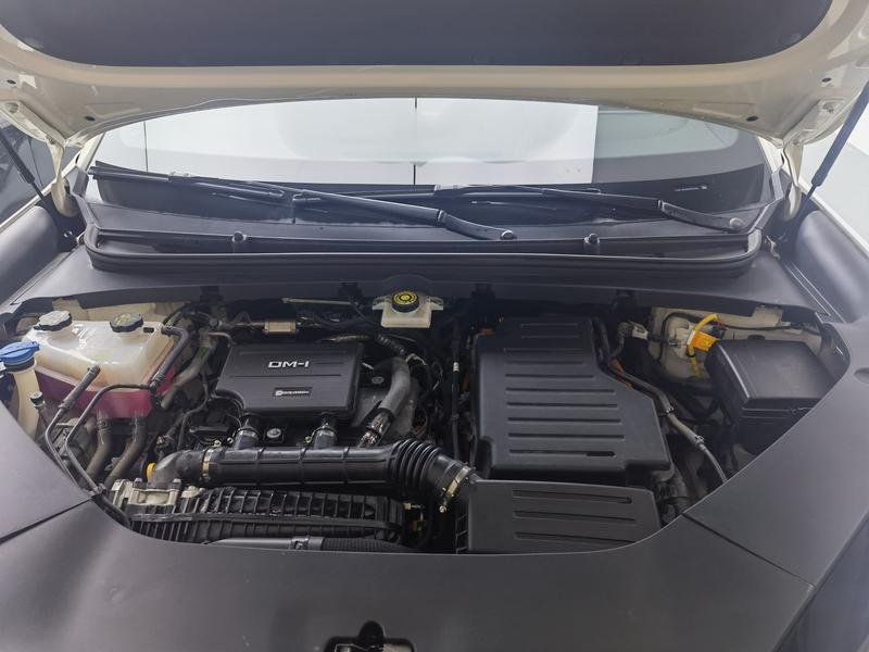 BYD Sea Lion 06DM 2025