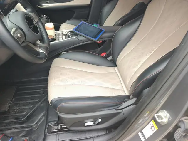 BYD dolphin Fashion edition