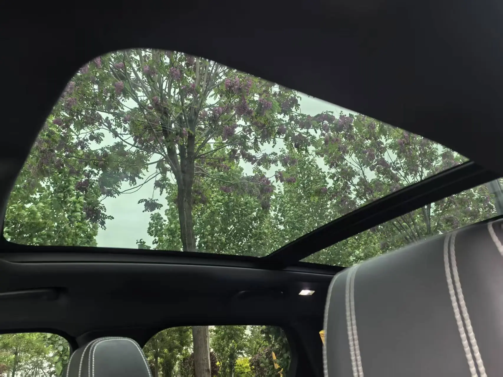 Land Rover Range Rover Star Pulse P250 S
