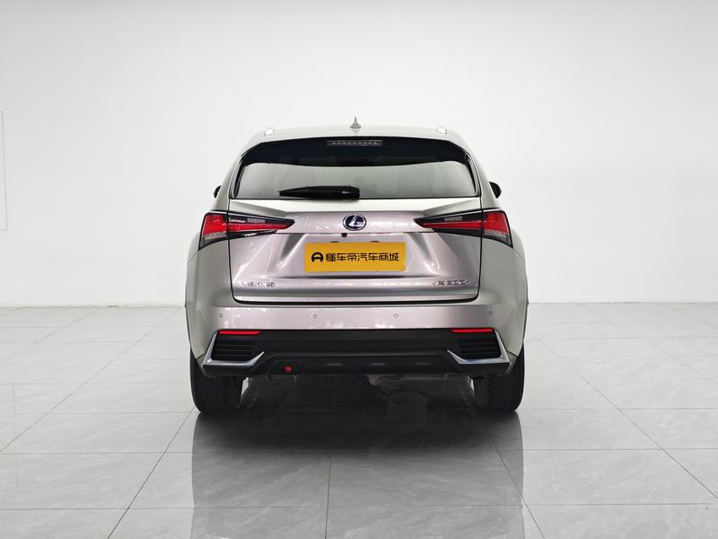 Lexus Lexus NX 2020