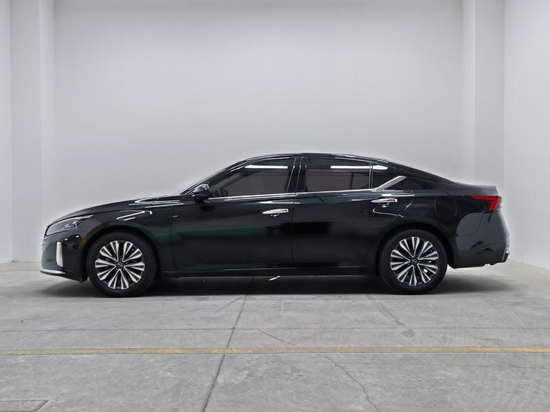 Nissan Sounds of Nature 2022