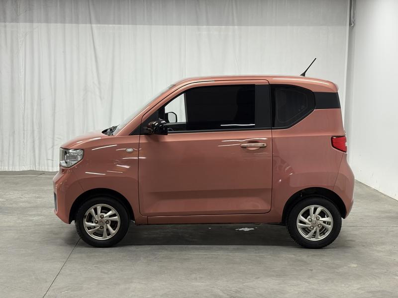 Wuling Wuling Hongguang MINIEV 2020