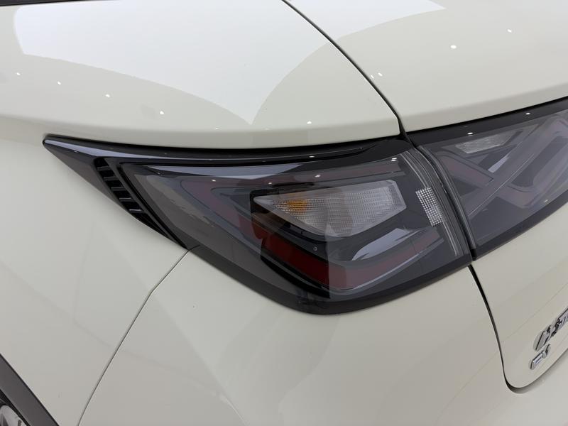 BYD dolphin 2024