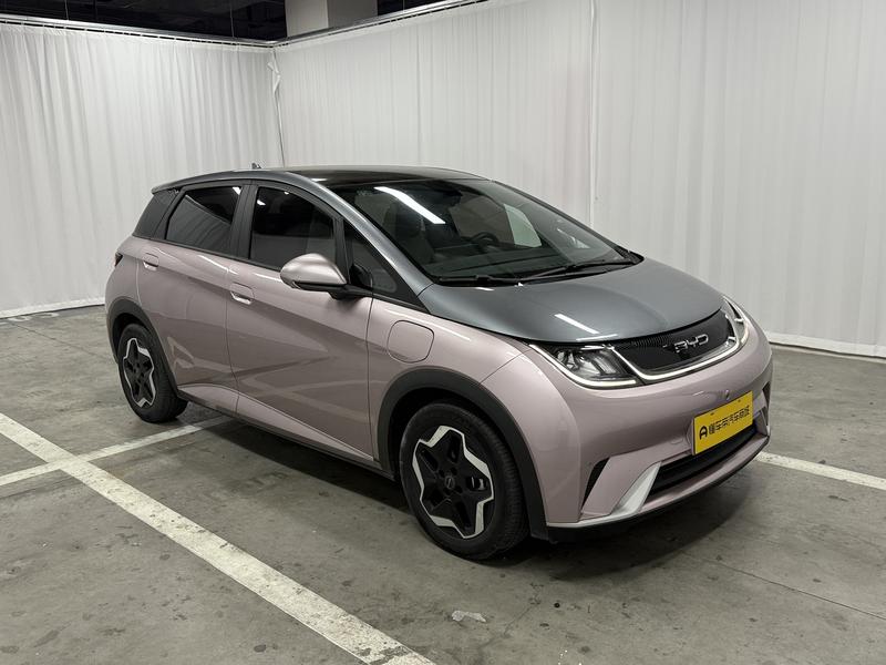 BYD dolphin 2021