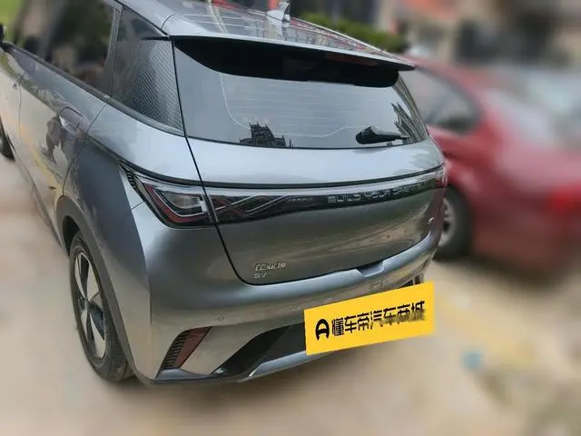 BYD dolphin Fashion edition