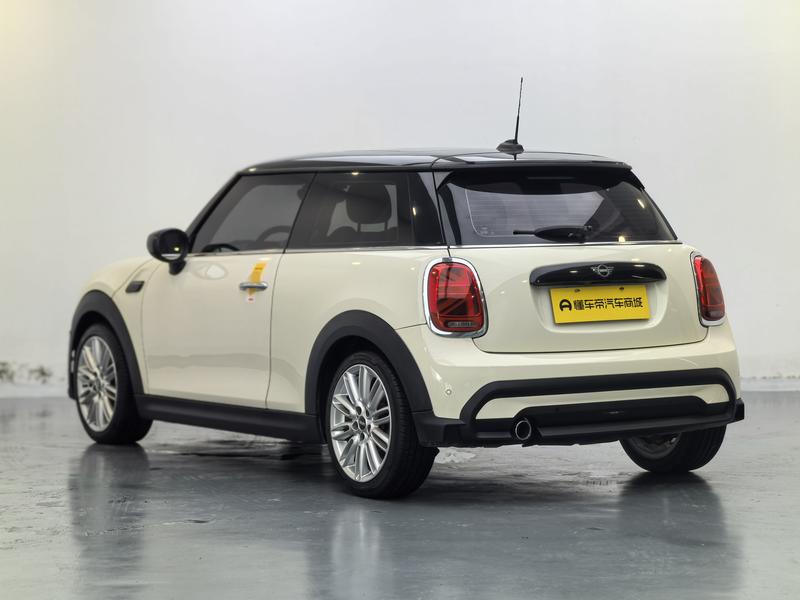 MINI MINI 2022