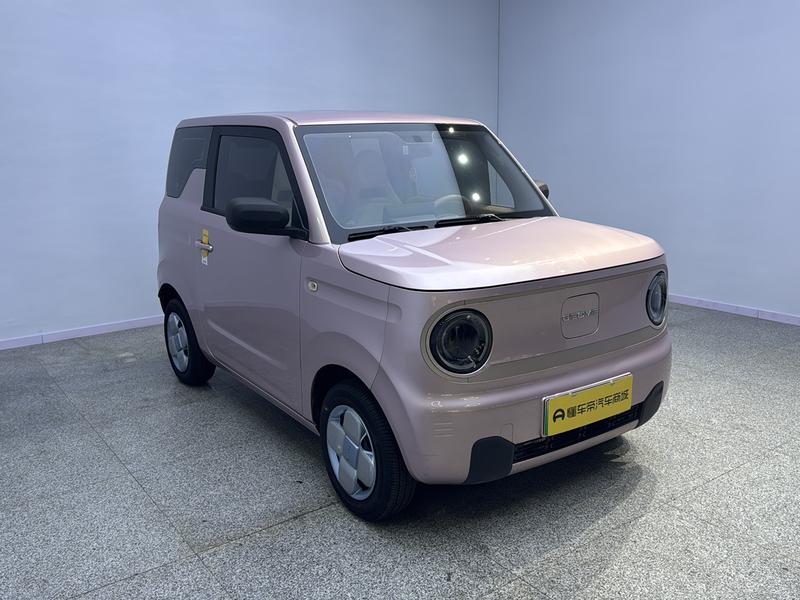 Geely Galaxy panda 2023