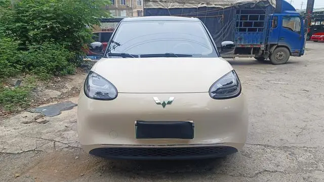 Wuling Wuling Bingguo 333KM consonant interconnection model