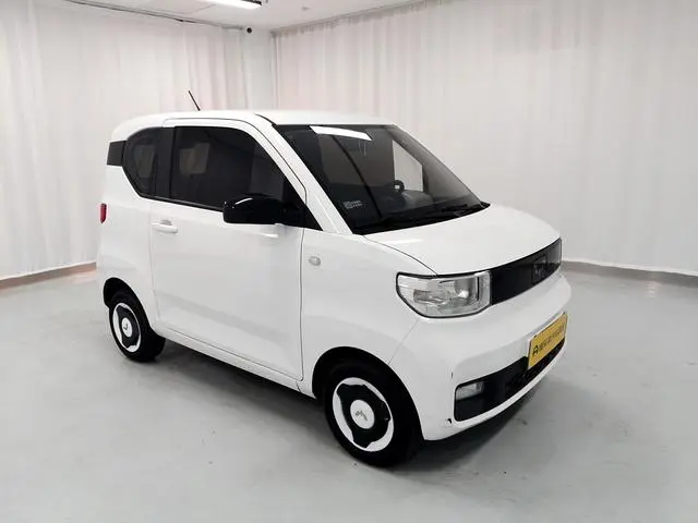 Wuling Wuling Hongguang MINIEV Yuexiang Ternary Lithium