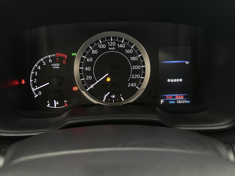 Toyota Asian lion 2021
