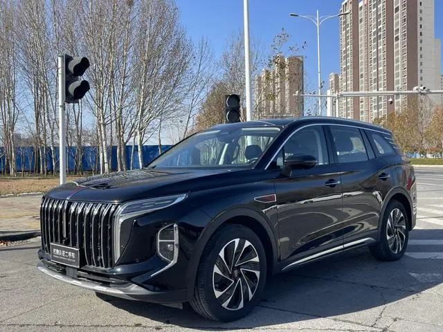 Hongqi Hongqi HS7 PHEV 2.0T four-wheel drive Qichang version 6 seats