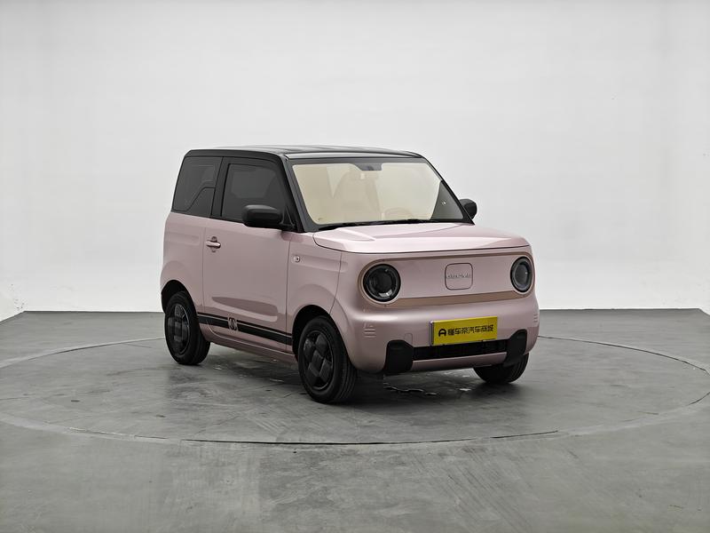 Geely Galaxy panda 2024