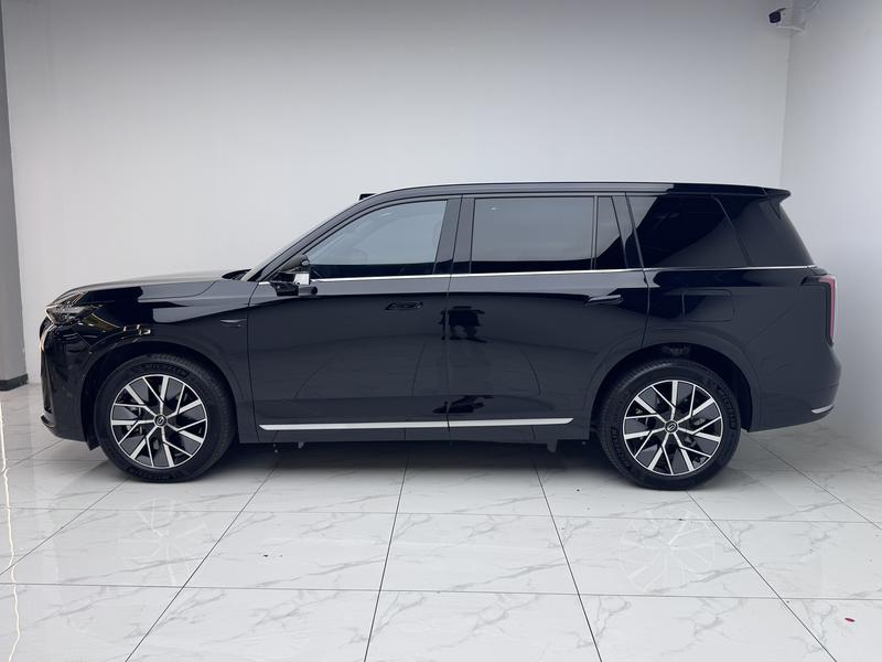 Trumpchi Trumpchi Xiangwang S9 2025