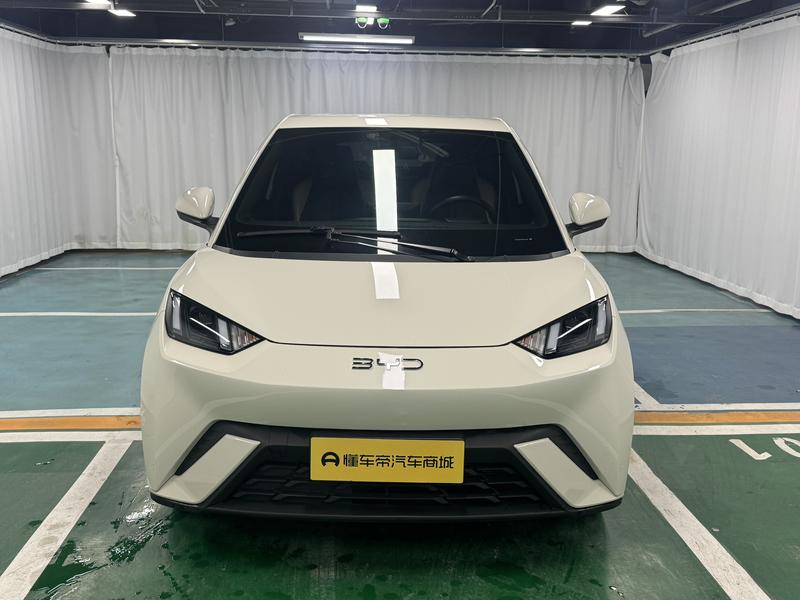 BYD seagull 2024