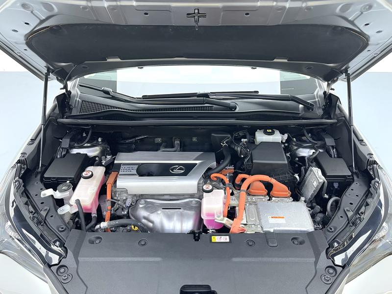 Lexus Lexus NX 2020