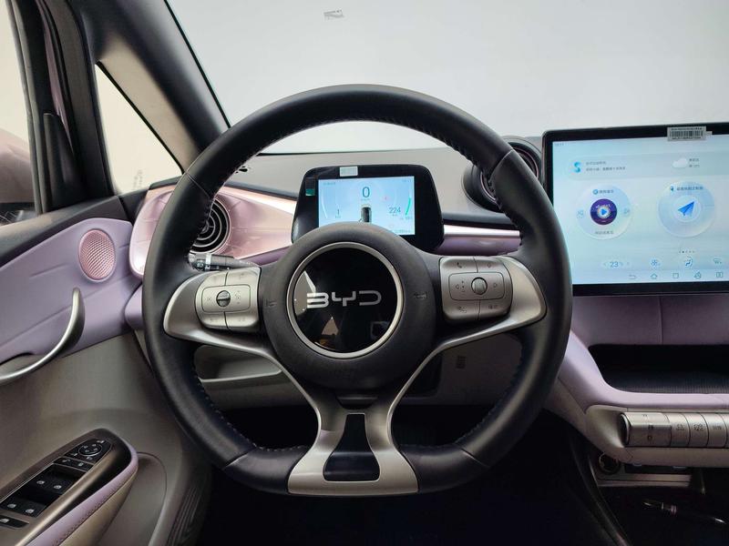 BYD dolphin 2024