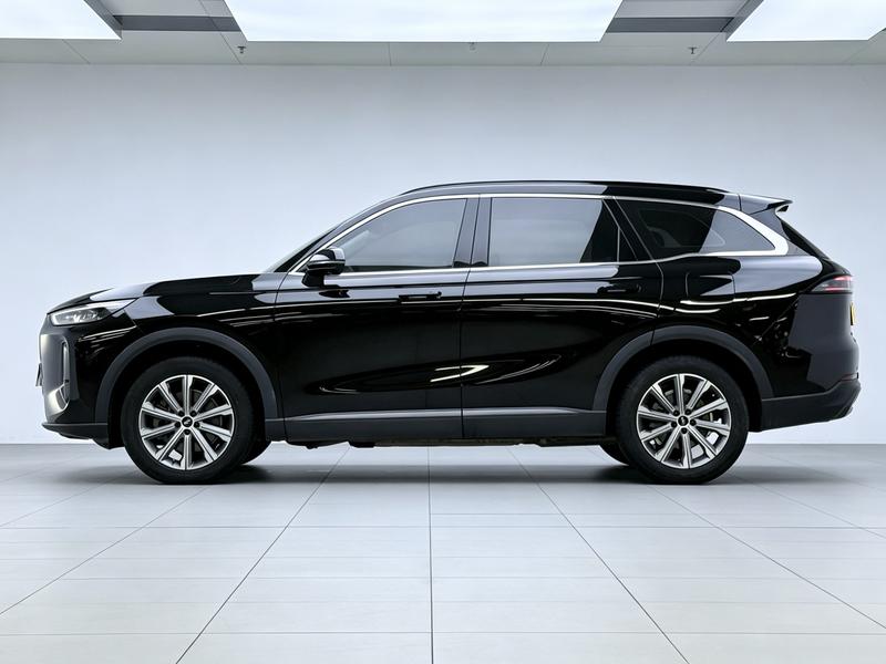 Fengyun Fengyun T9 2024