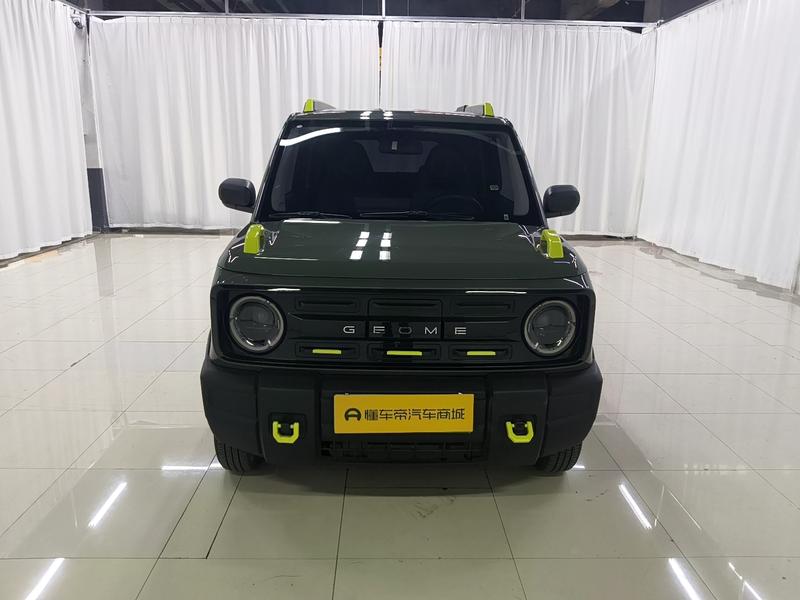 Geely Galaxy panda 2024