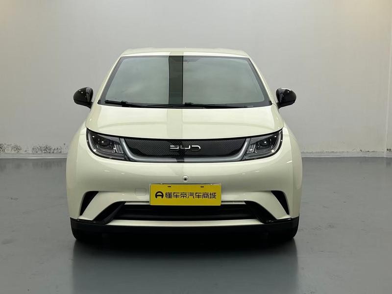 BYD dolphin 2025