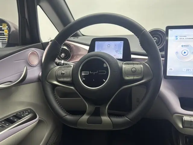 BYD dolphin Fashion edition