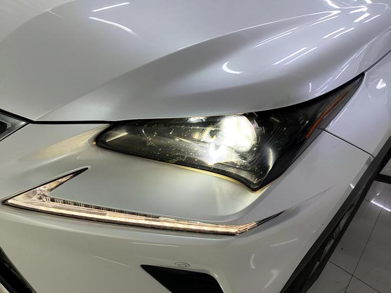 Lexus Lexus NX 2020