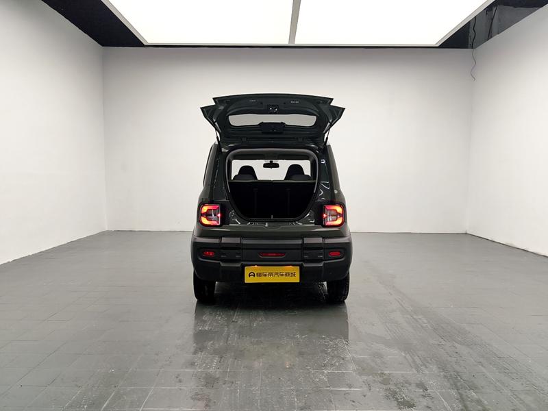 Geely Galaxy panda 2024