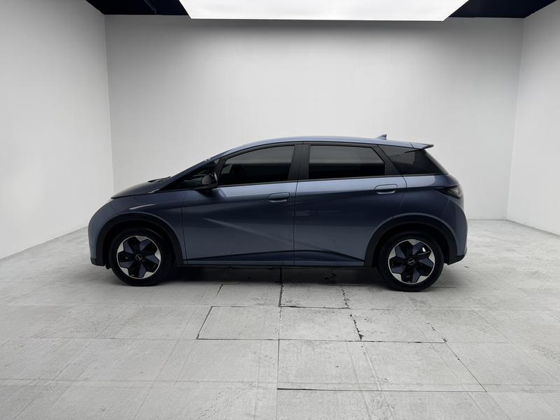 BYD dolphin 2025