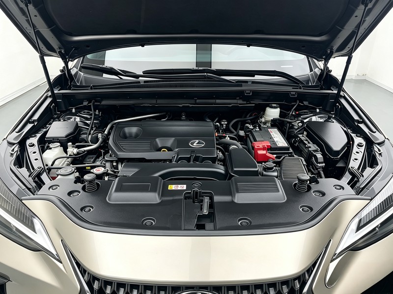Lexus Lexus NX 2022