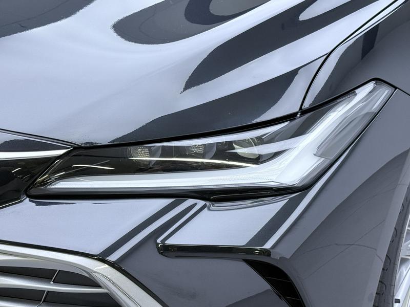 Toyota Asian Dragon 2024