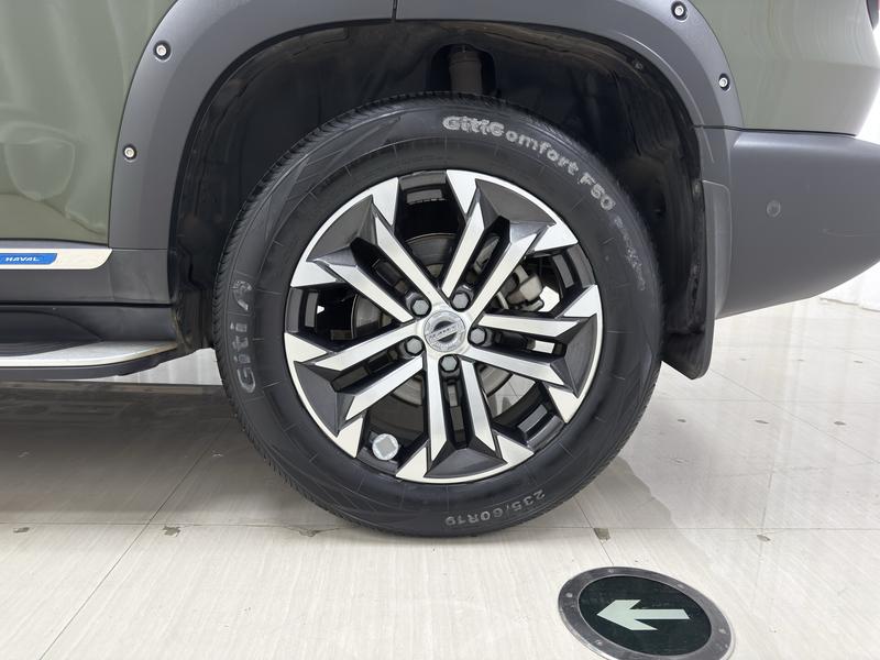 Haval 长城大狗 2022