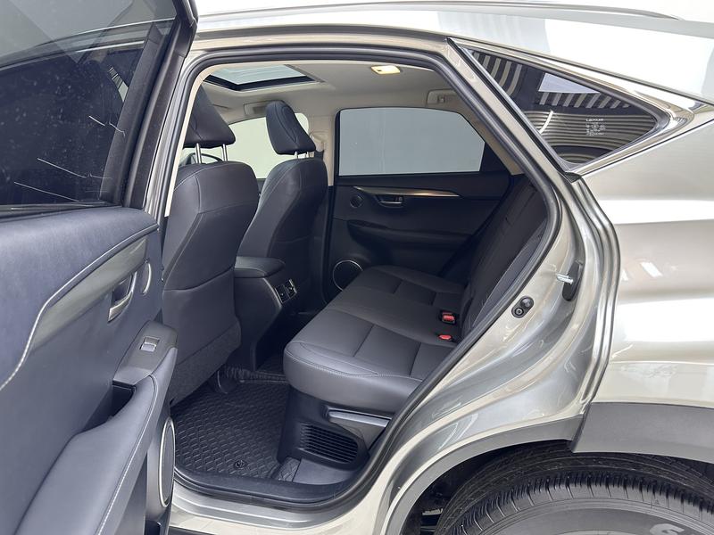 Lexus Lexus NX 2020