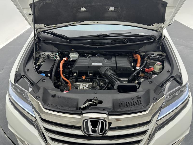 Honda Ailishen 2019