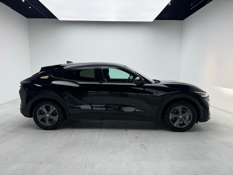 Ford Ford Electric Horse 2021