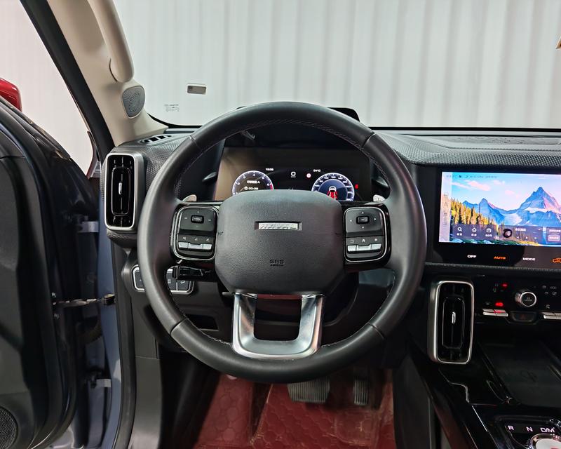 Haval Haval Big Dog 2021