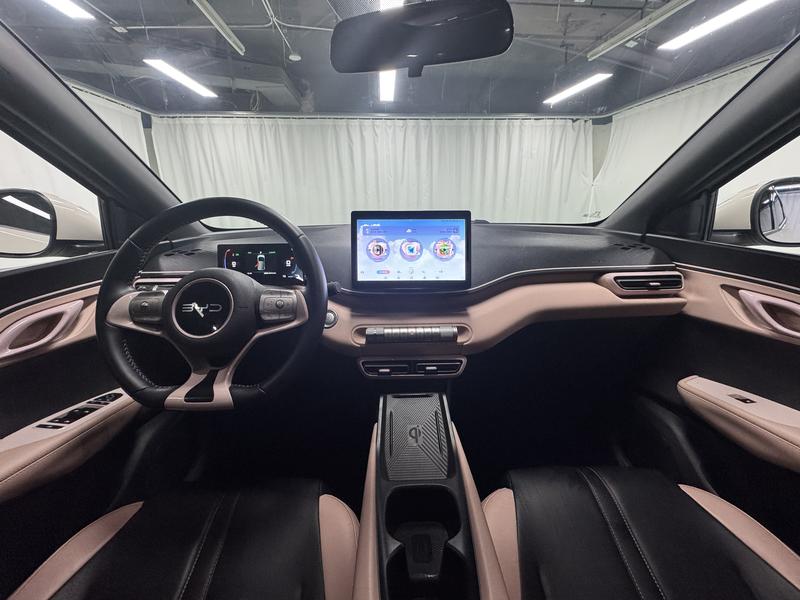 BYD seagull 2024