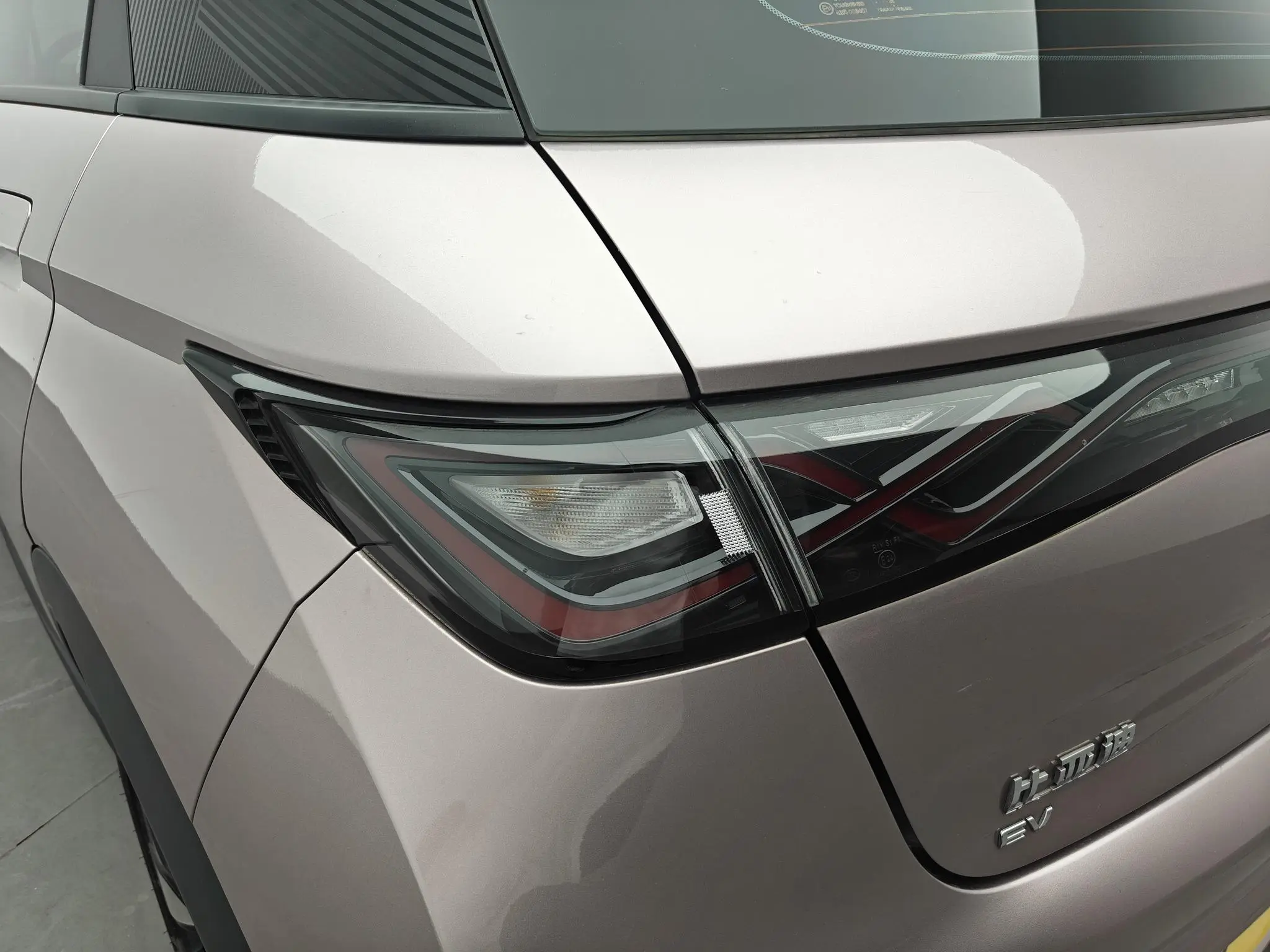 BYD dolphin Knight Edition