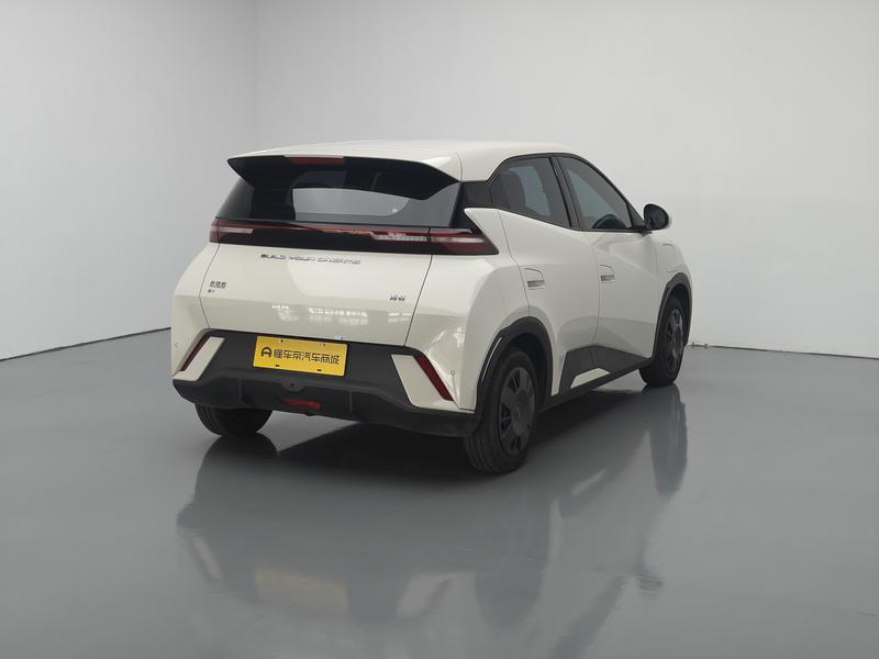 BYD seagull 2024